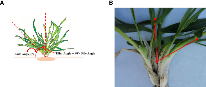 Figure 1