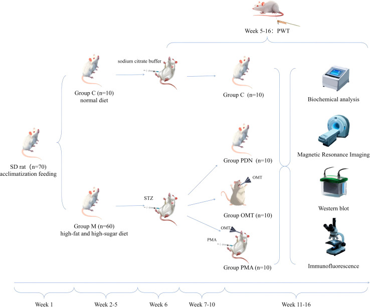 Figure 1