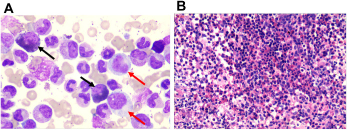 Figure 1