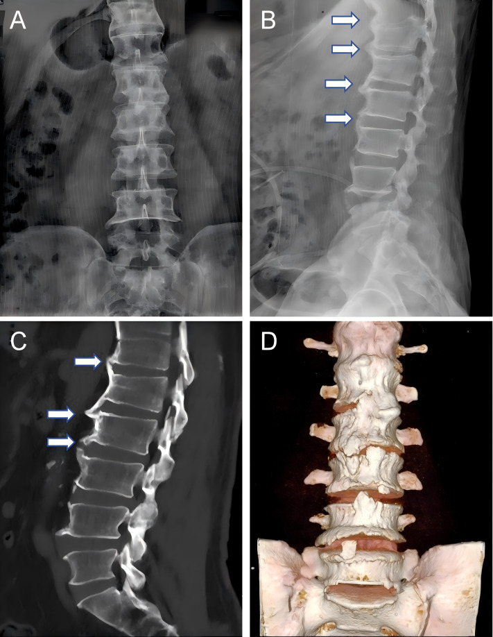 Figure 1