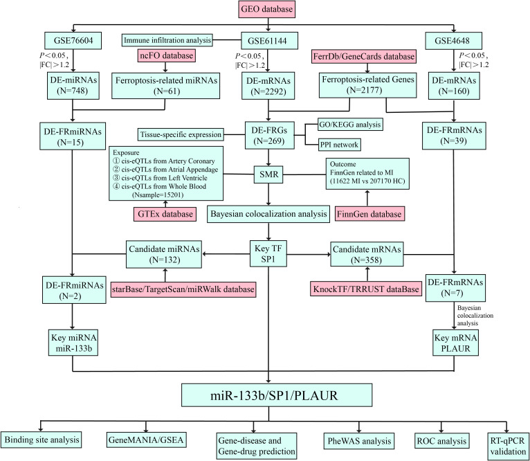 Figure 1