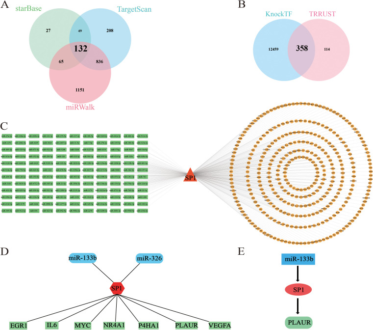 Figure 6