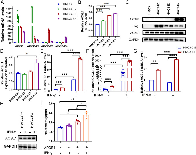 Figure 6