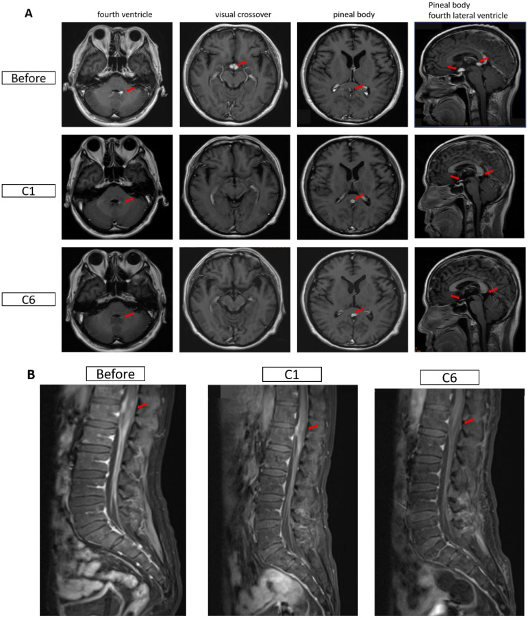Figure 1