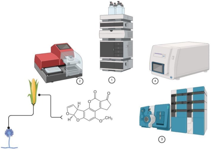 FIGURE 3