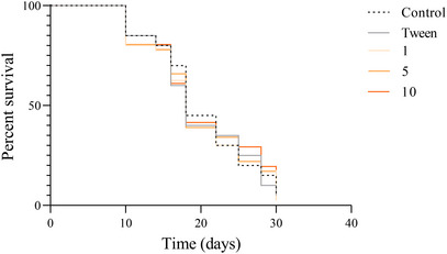 FIGURE 11
