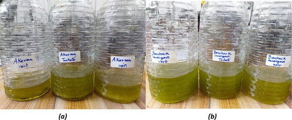 FIGURE 11