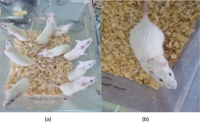 FIGURE 12