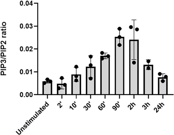 Figure 1