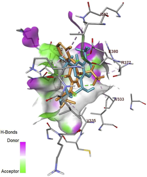 FIGURE 15