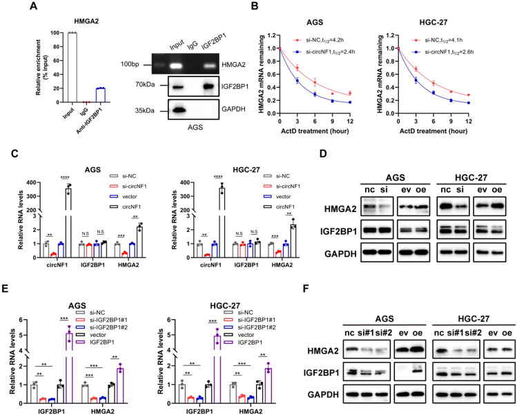 Figure 4