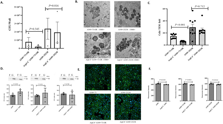 Figure 6