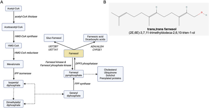 FIGURE 1