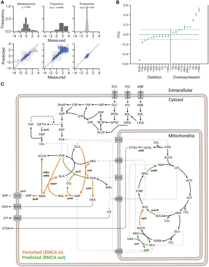 FIGURE 2