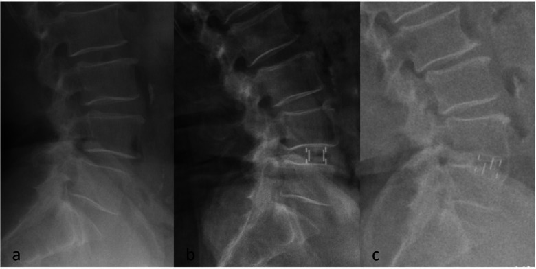Figure 1
