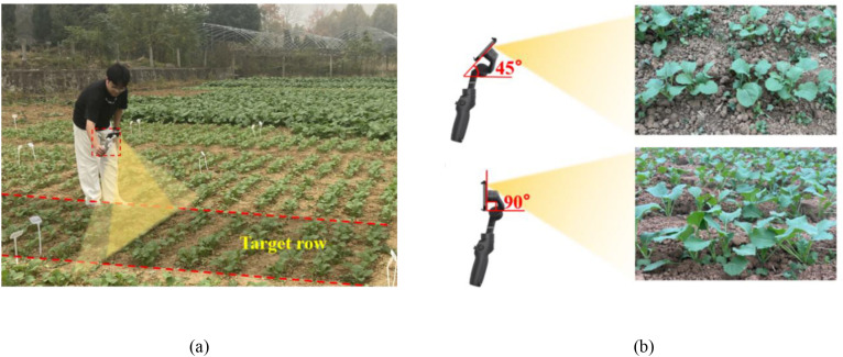 Figure 3