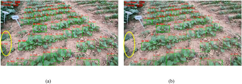 Figure 10