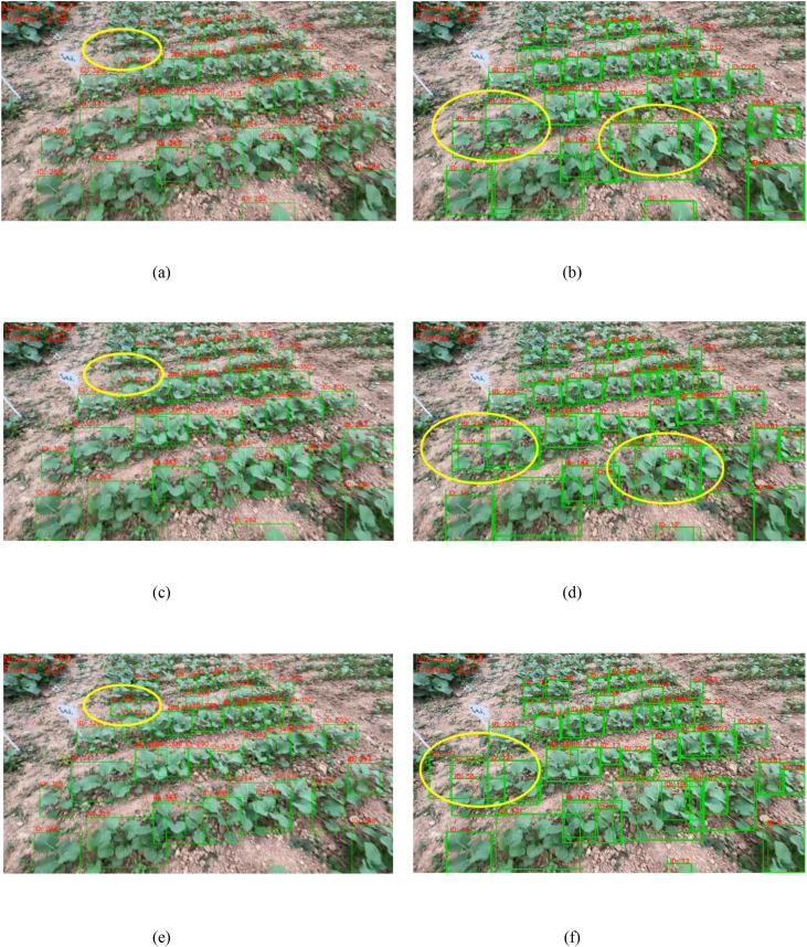 Figure 13