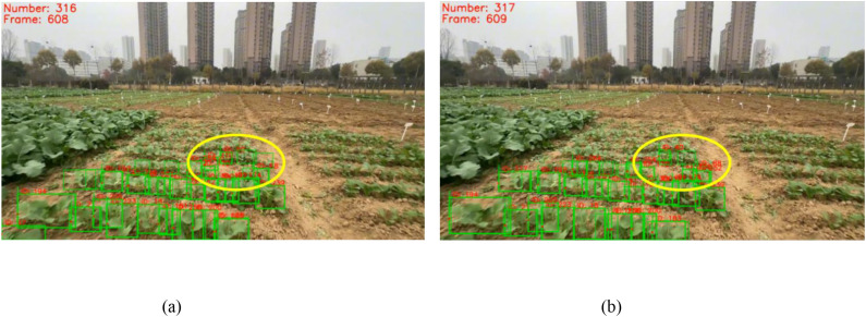 Figure 14