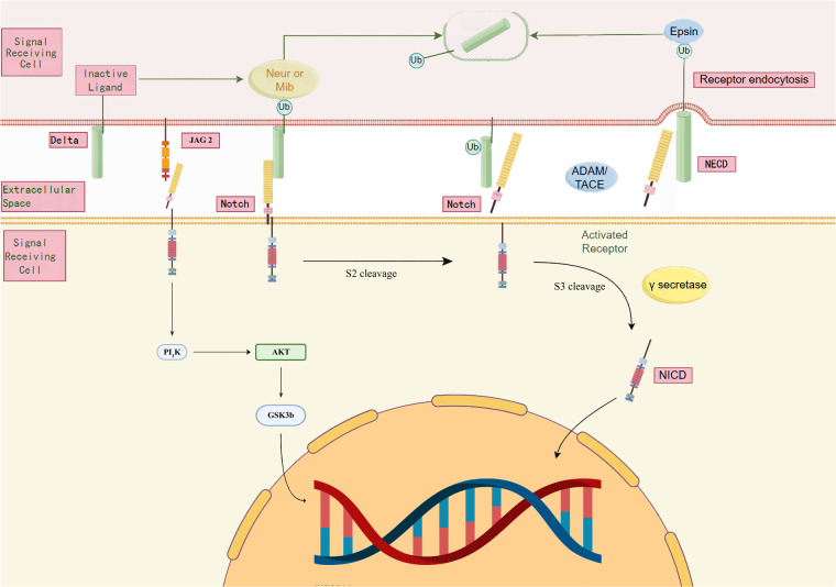 Figure 3