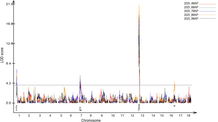 Figure 1