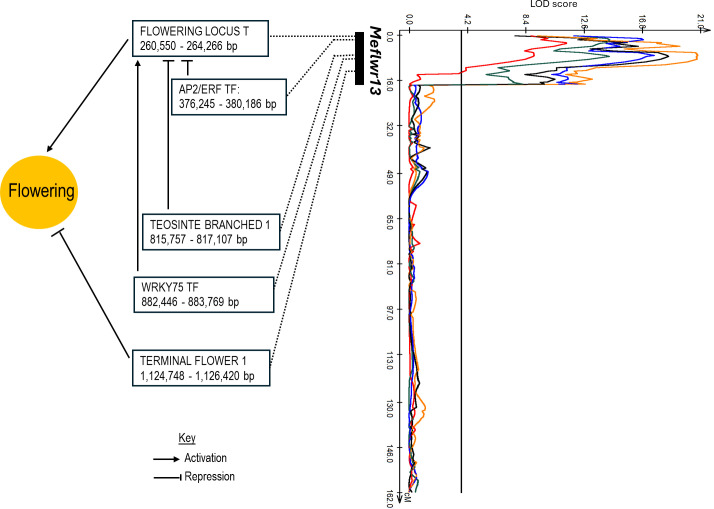 Figure 4