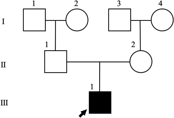 Figure 1