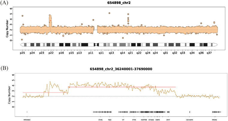 Figure 2