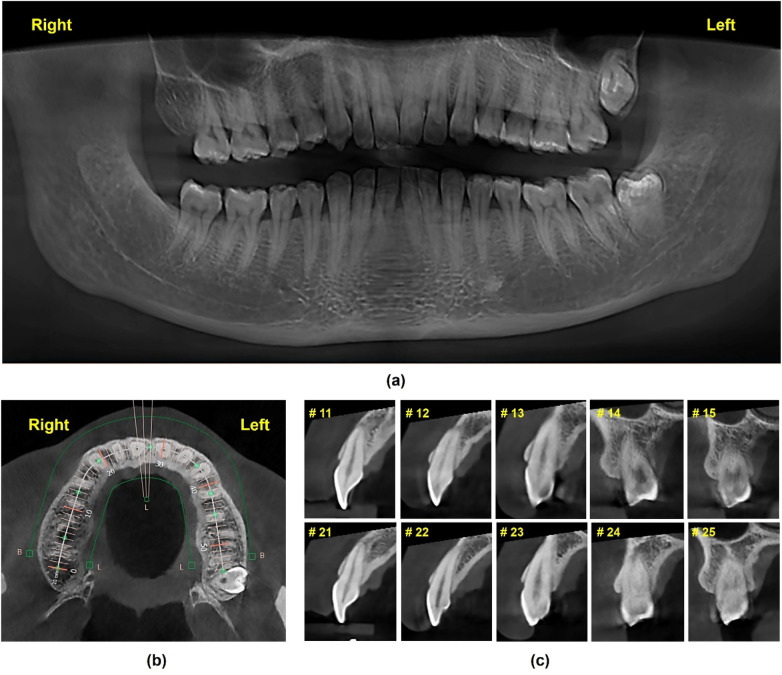 Figure 3