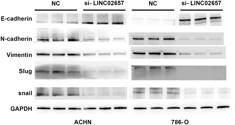 Figure 11