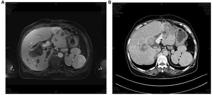 FIGURE 2