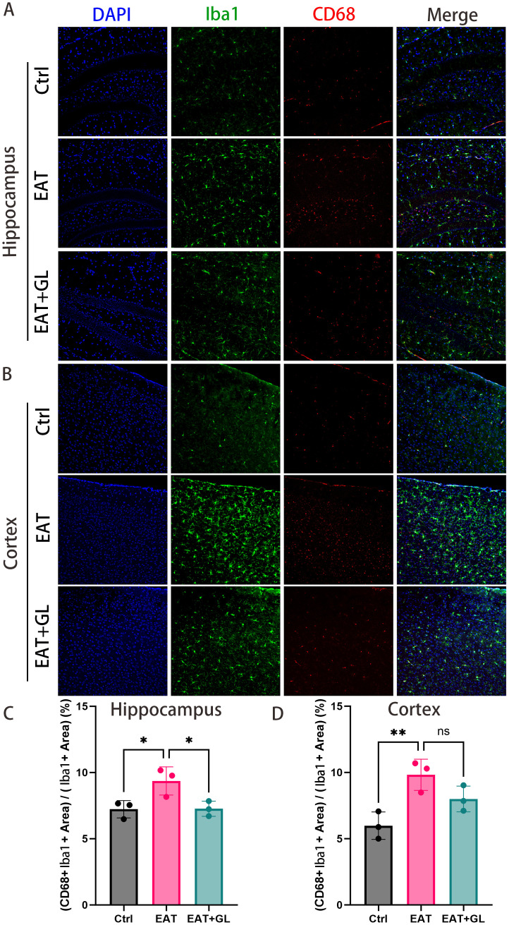 Figure 4