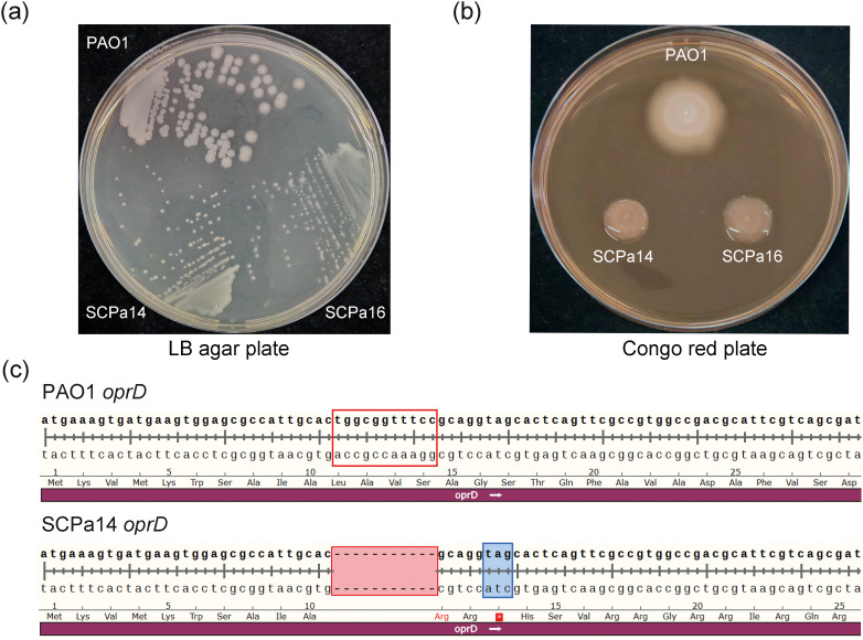Figure 2