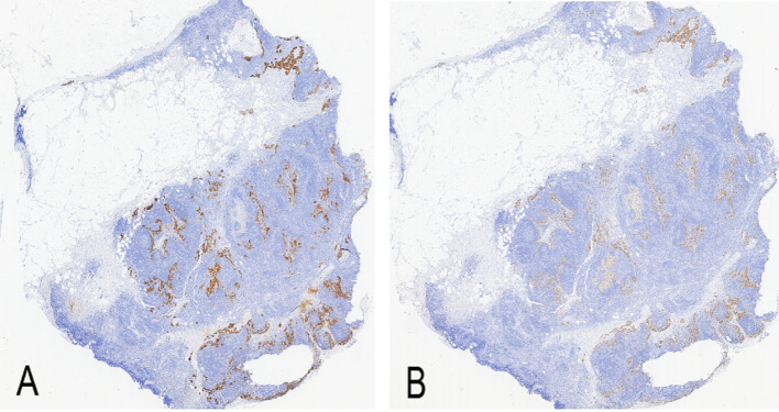 Figure 5