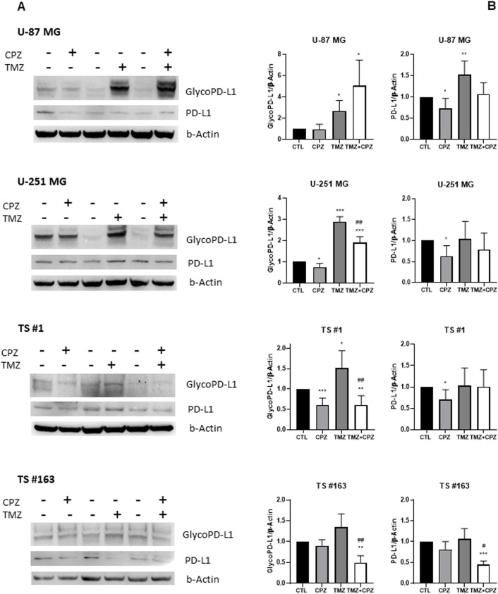 Figure 6