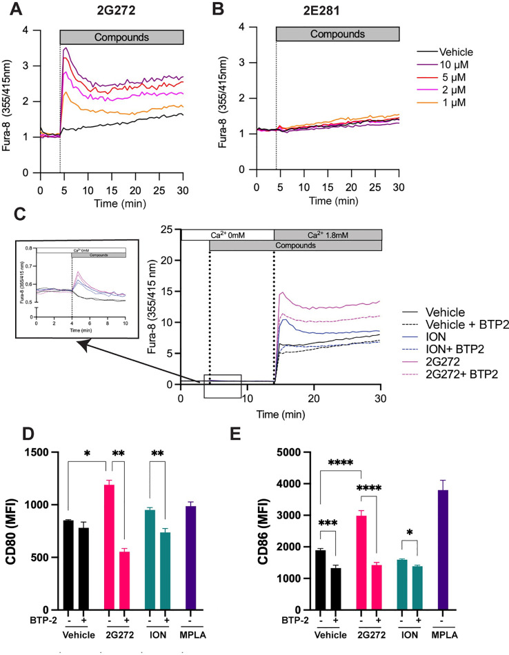 Figure 2