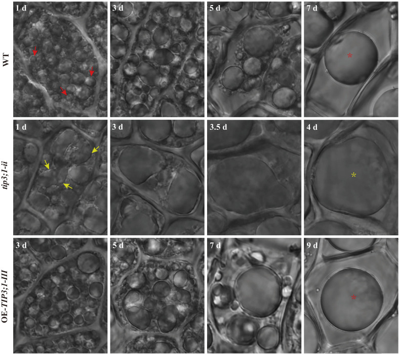 Figure 2