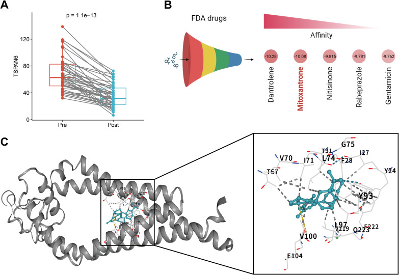 Figure 6
