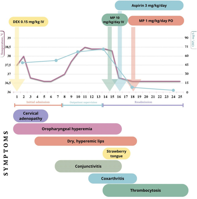 Figure 1