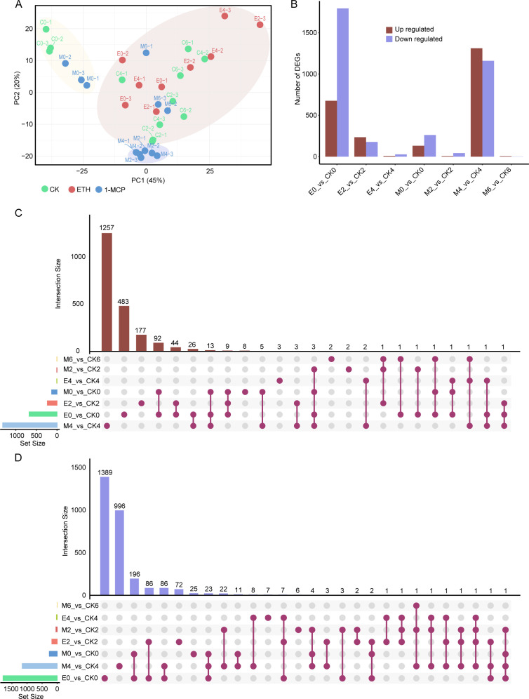 Figure 3