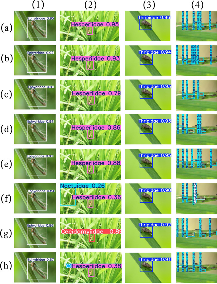 Figure 15
