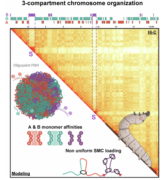 Figure 17