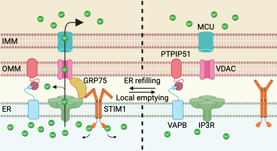 Figure 14