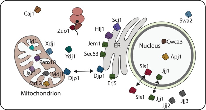 FIGURE 2