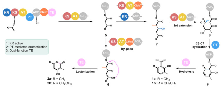 Figure 4