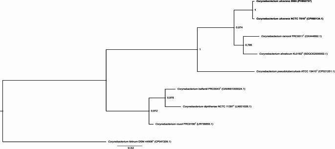 Figure 2