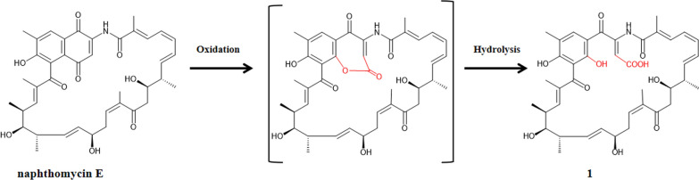 Figure 8
