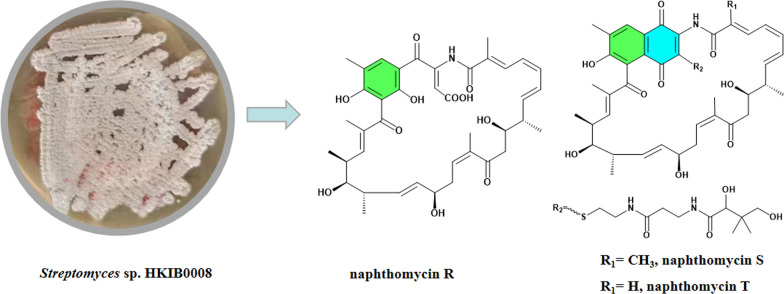 Figure 9