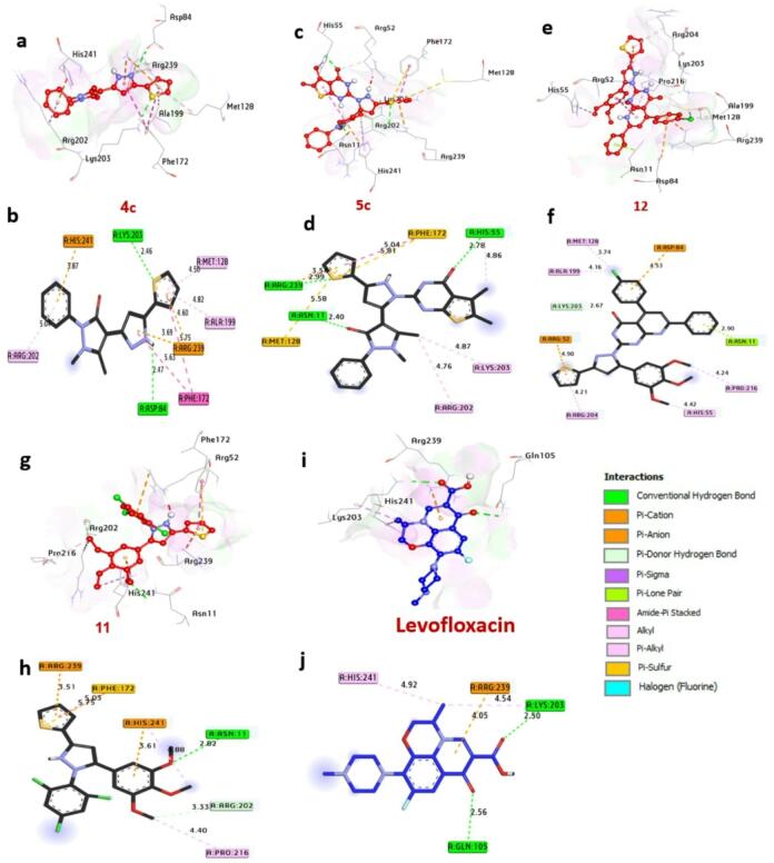 Figure 12