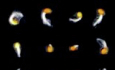 Figure 14
